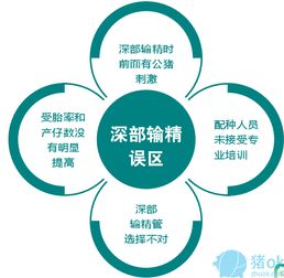 豬場育種新突破 母豬深度受精技術(shù)的創(chuàng)新應(yīng)用與推廣策略